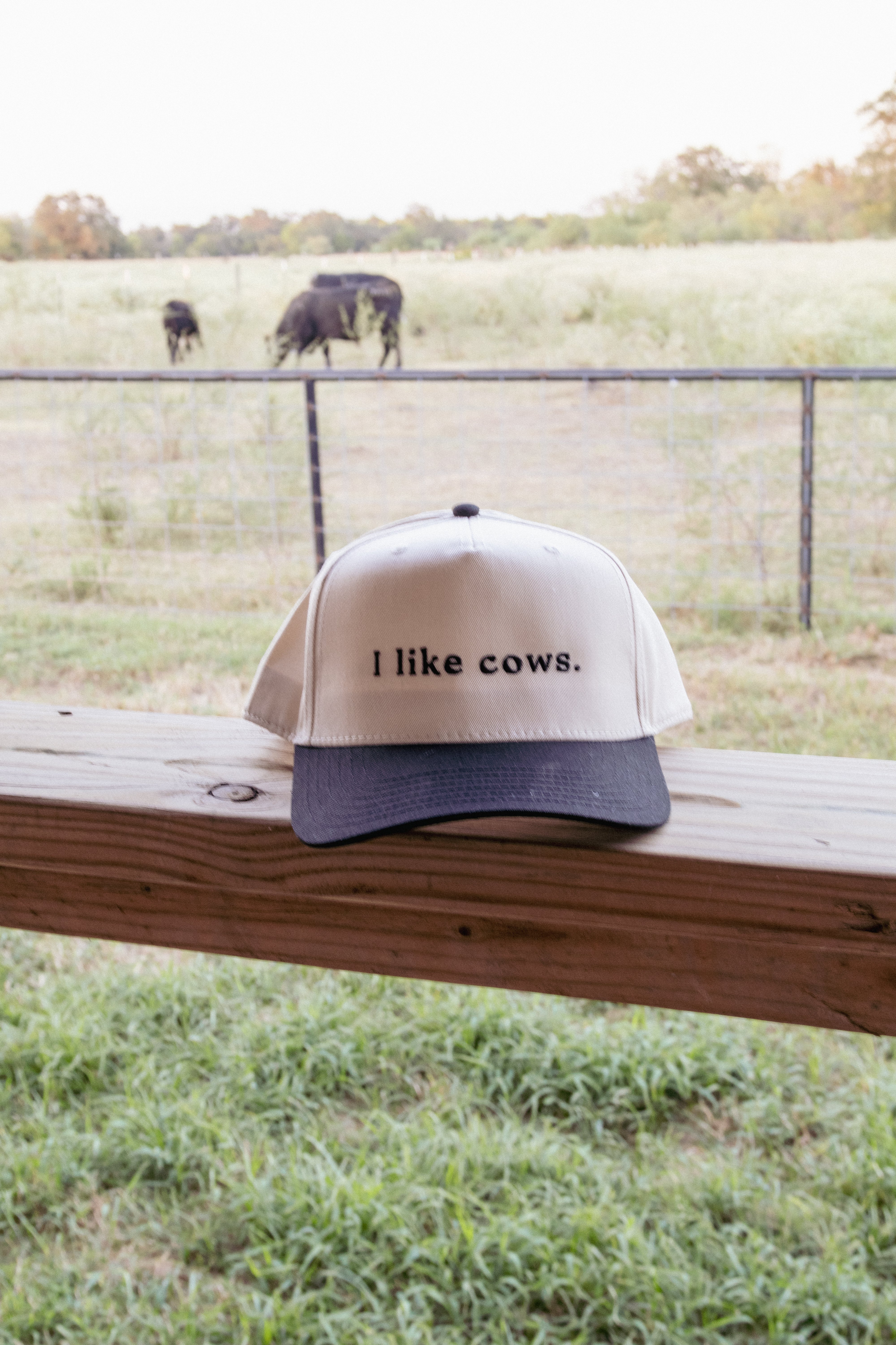 black and natural embroidered 'i like cows' trucker hat
