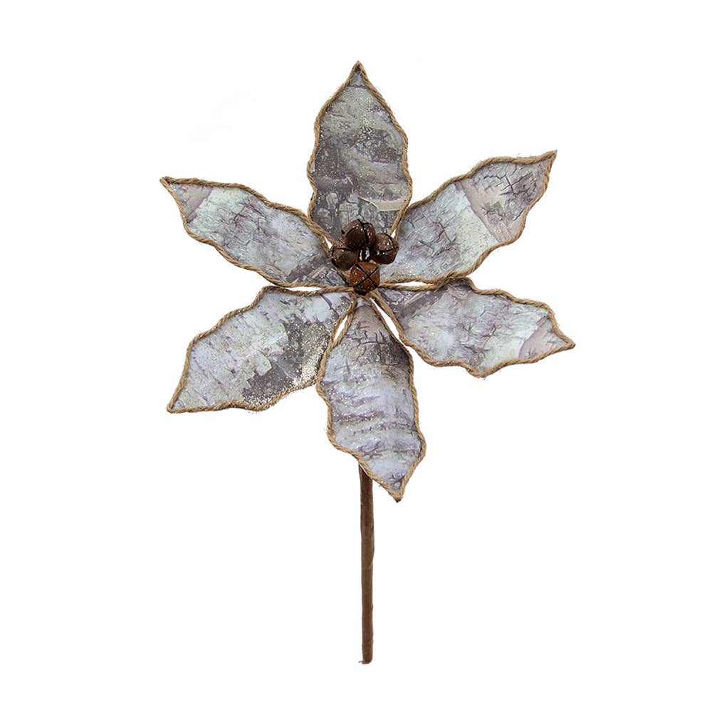 Small Birch Poinsettia - 5 in