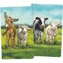 Notebook Set Small- Farm