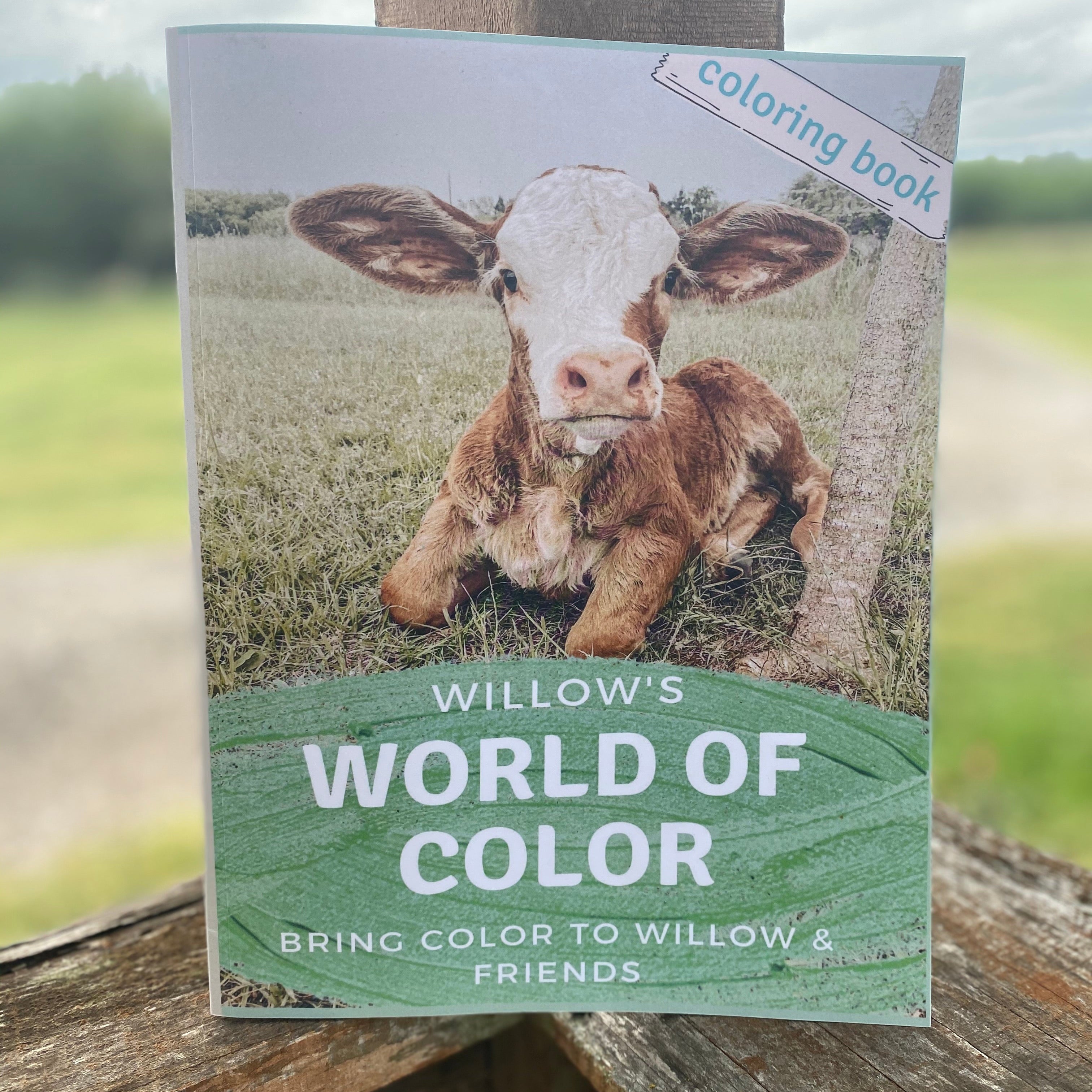 A coloring book titled ' Willow’s World of Color' featuring a picture of a cow on the cover.