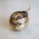 Sturgis Glass Ornament