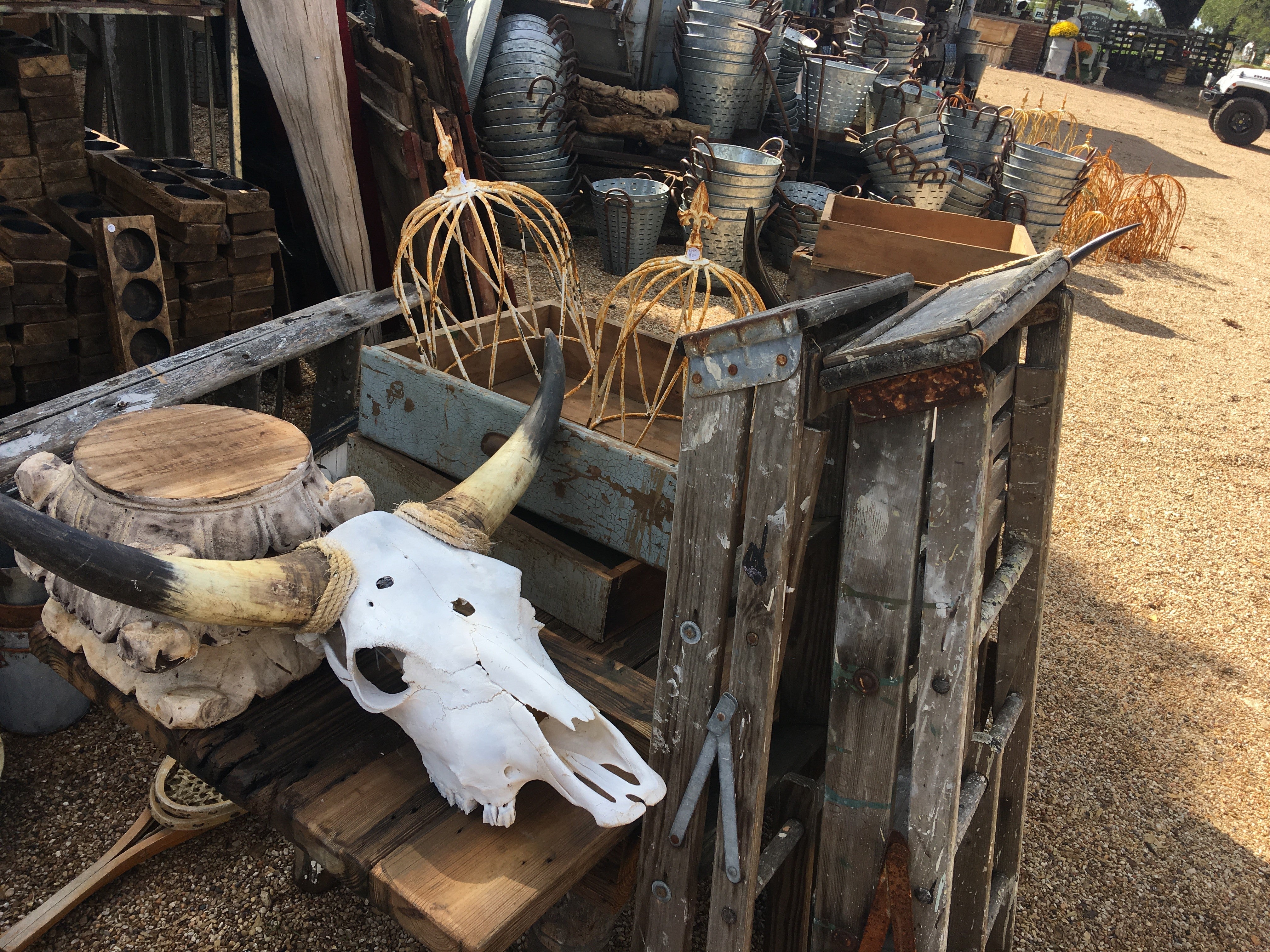Behind the Dust of Junk 'N Disorderly!