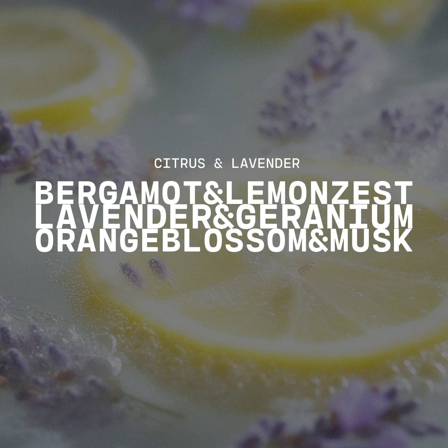 5 oz Cream Jar Candle: Citrus & Lavender