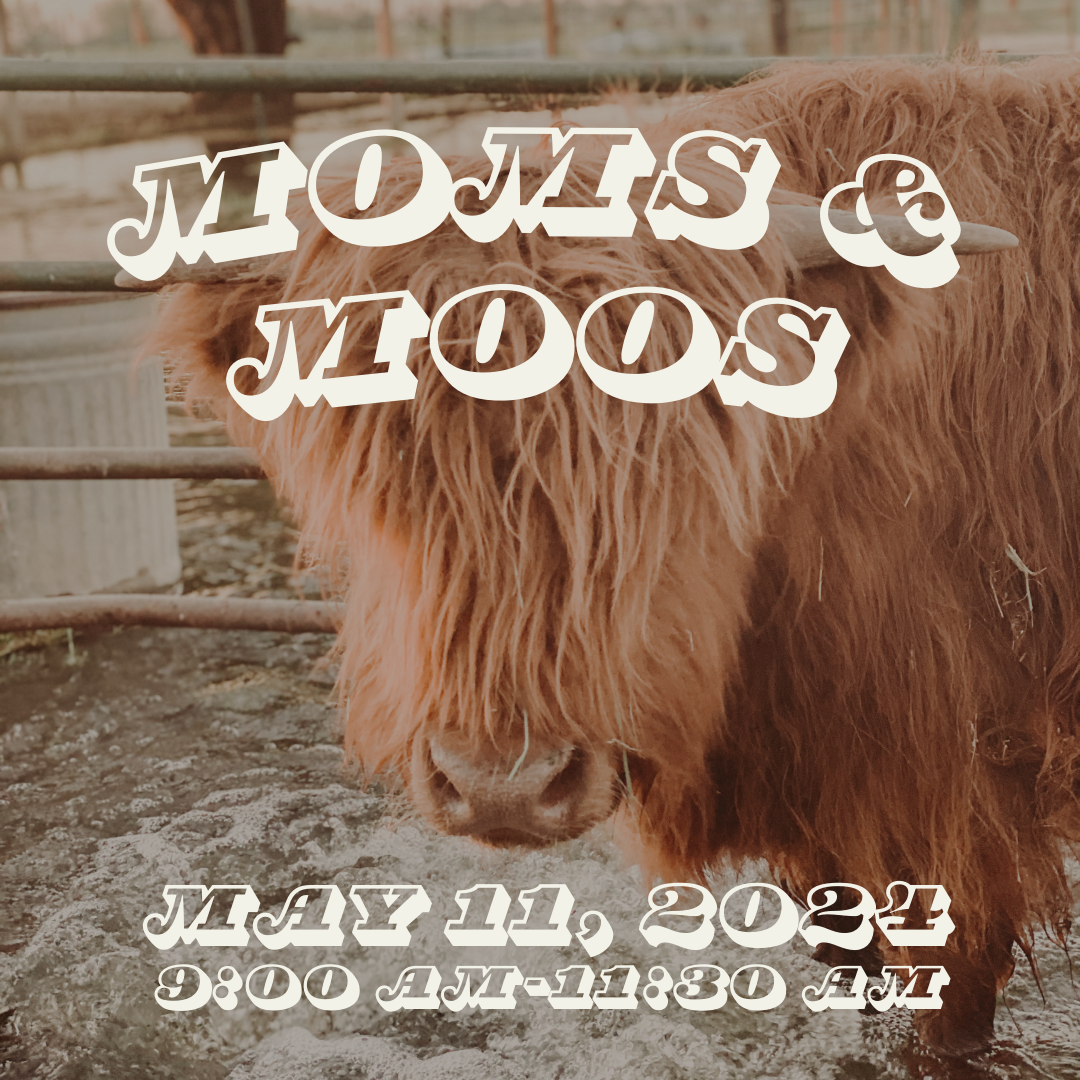 Moms & Moos