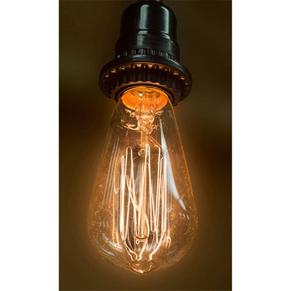 Chelsea Incandescent Edison Bulb (E26-27) - 5 x 2.17 in