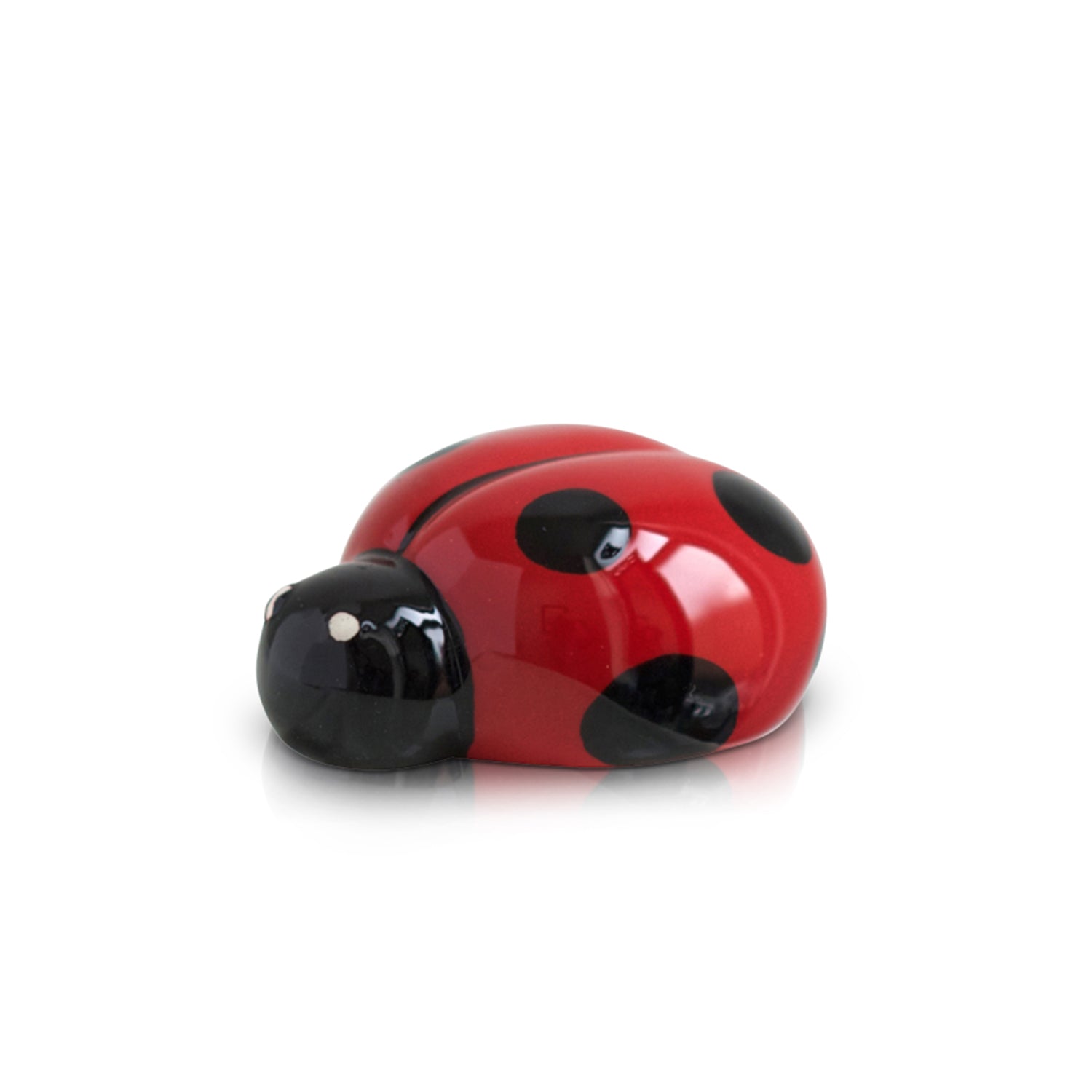 NF Mini's
