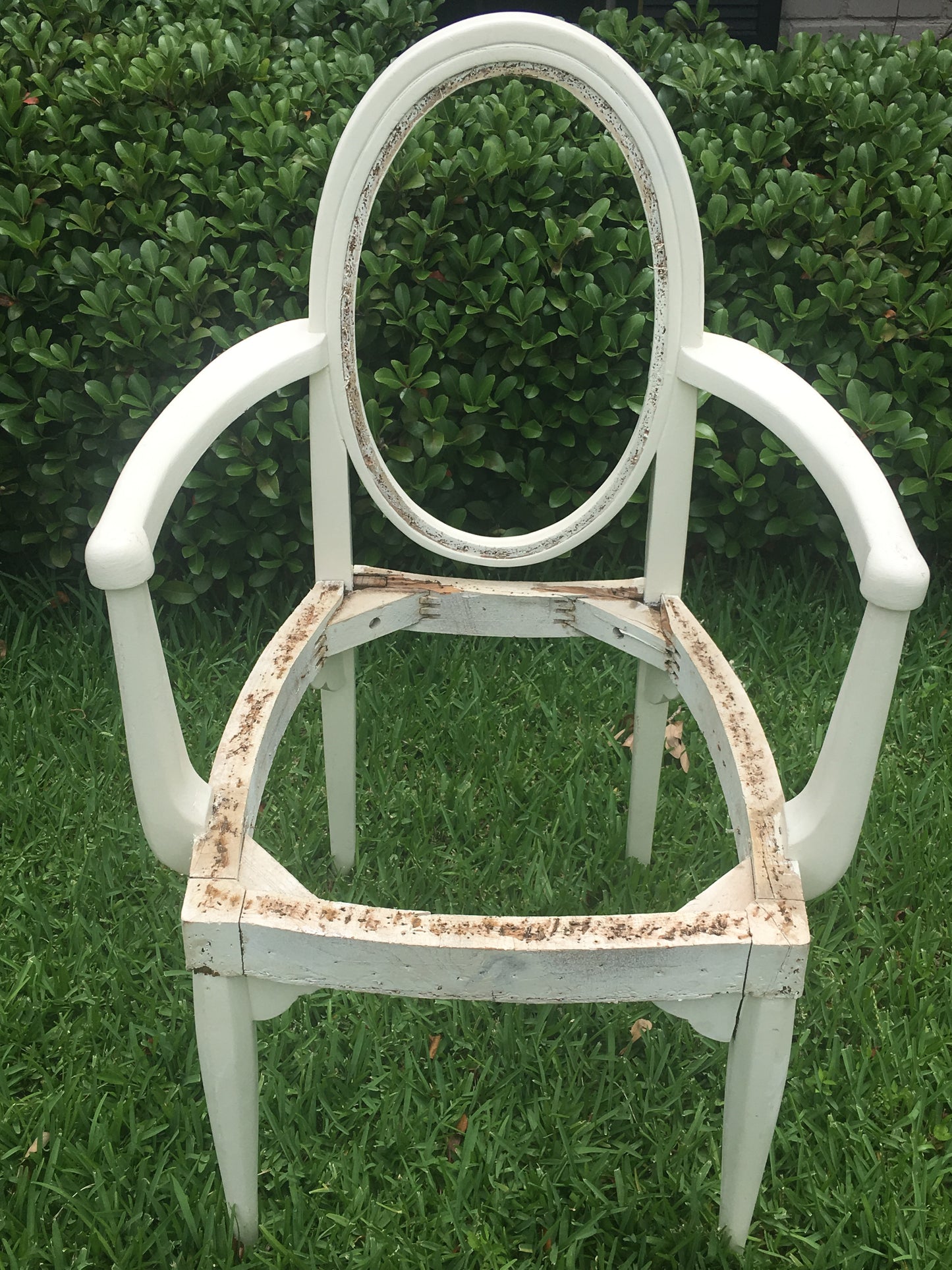 White Oval Back Chair