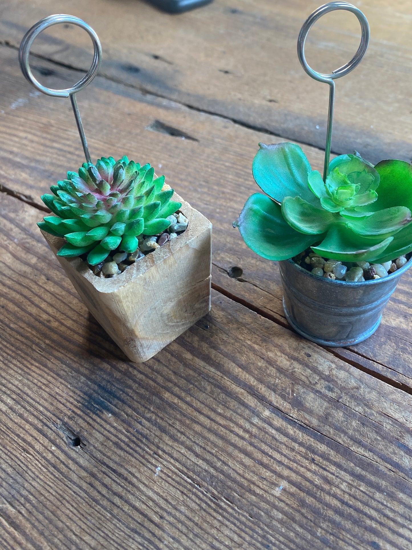 Mini Faux Succulents with clips