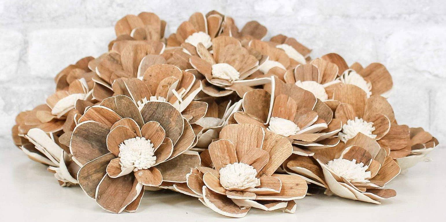 Adorable Raw Sola Wood "Coco" Flowers -3"