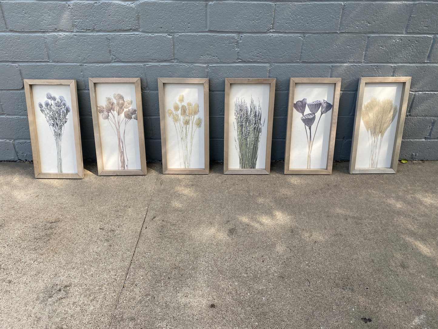 Botanical Prints 10x20