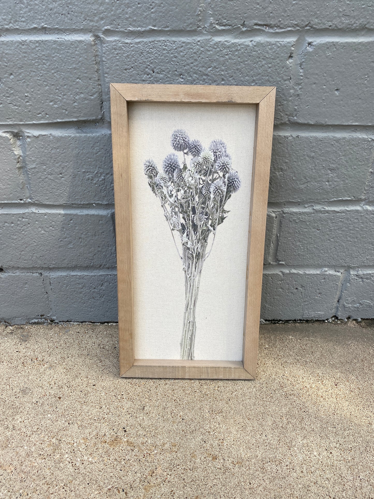 Botanical Prints 10x20