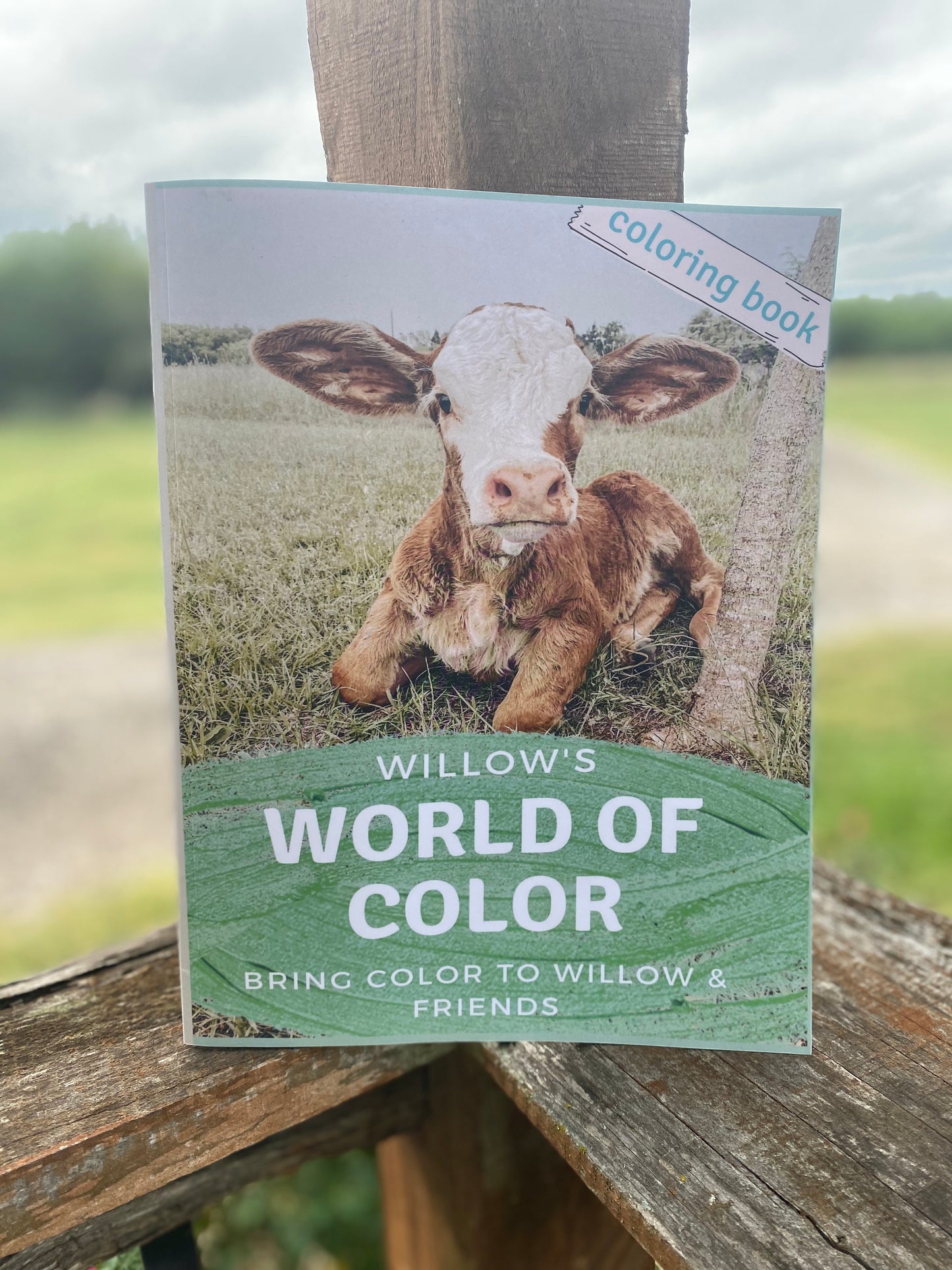 Willow’s World of Color- Coloring Book